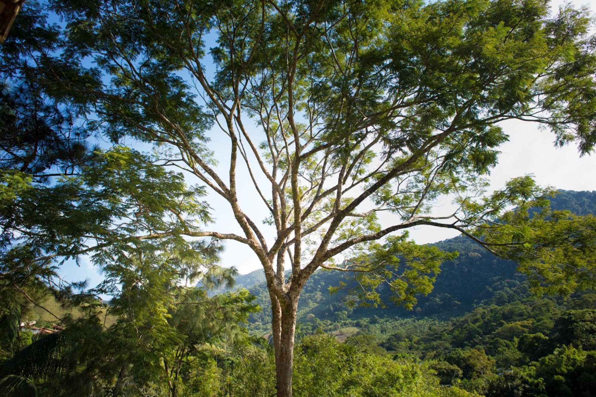 Pousada Cascata Casimiro de Abreu Quarto foto
